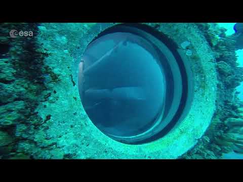 NASA/ESA - NEEMO 19  Aquanaut Mission Highlights