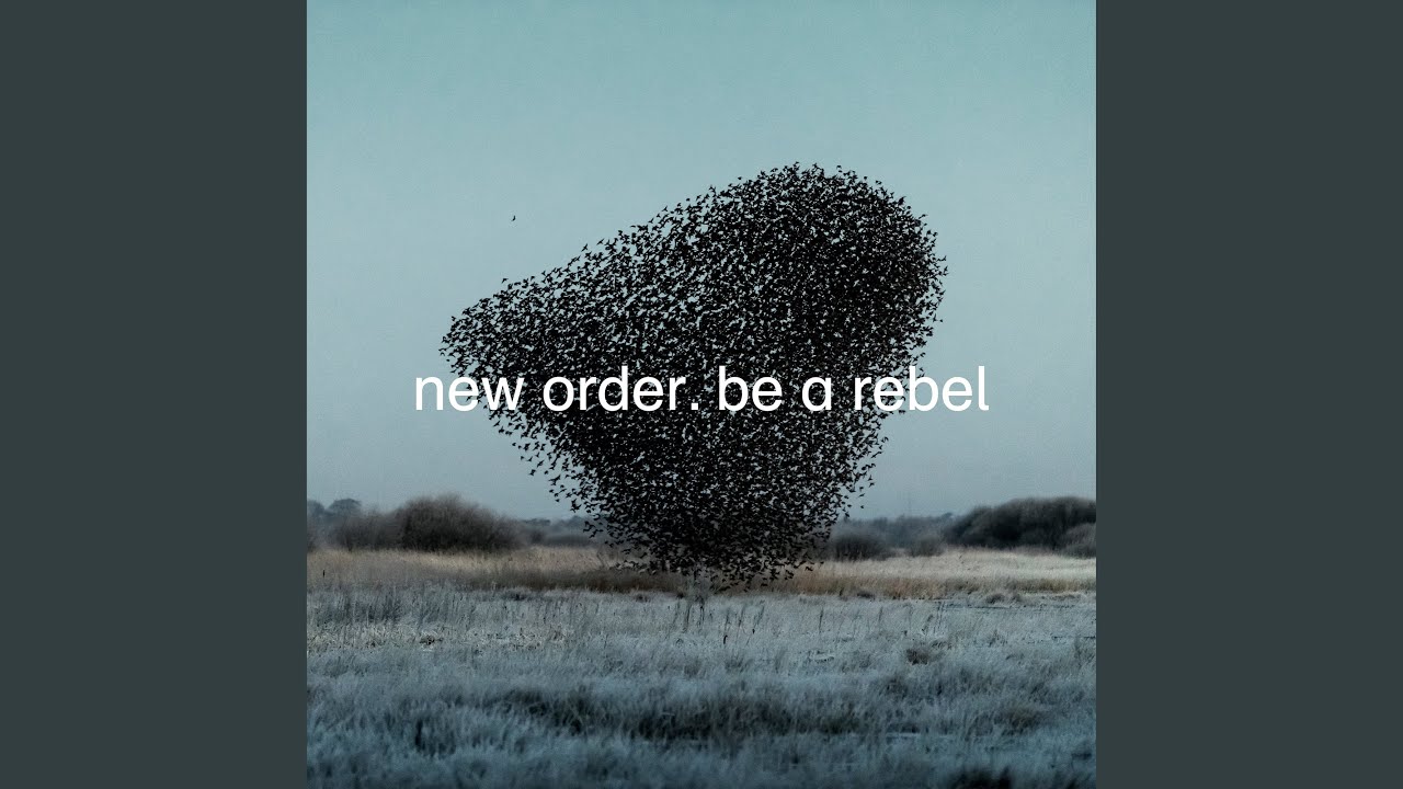 NEW ORDER / BE A REBEL [12inch - 12MUTE619]：NEW WAVE：アナログ
