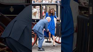 Kates Dress Got Stuck