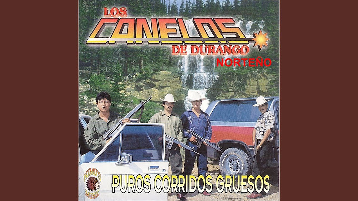 Entre Cerros y Pinos