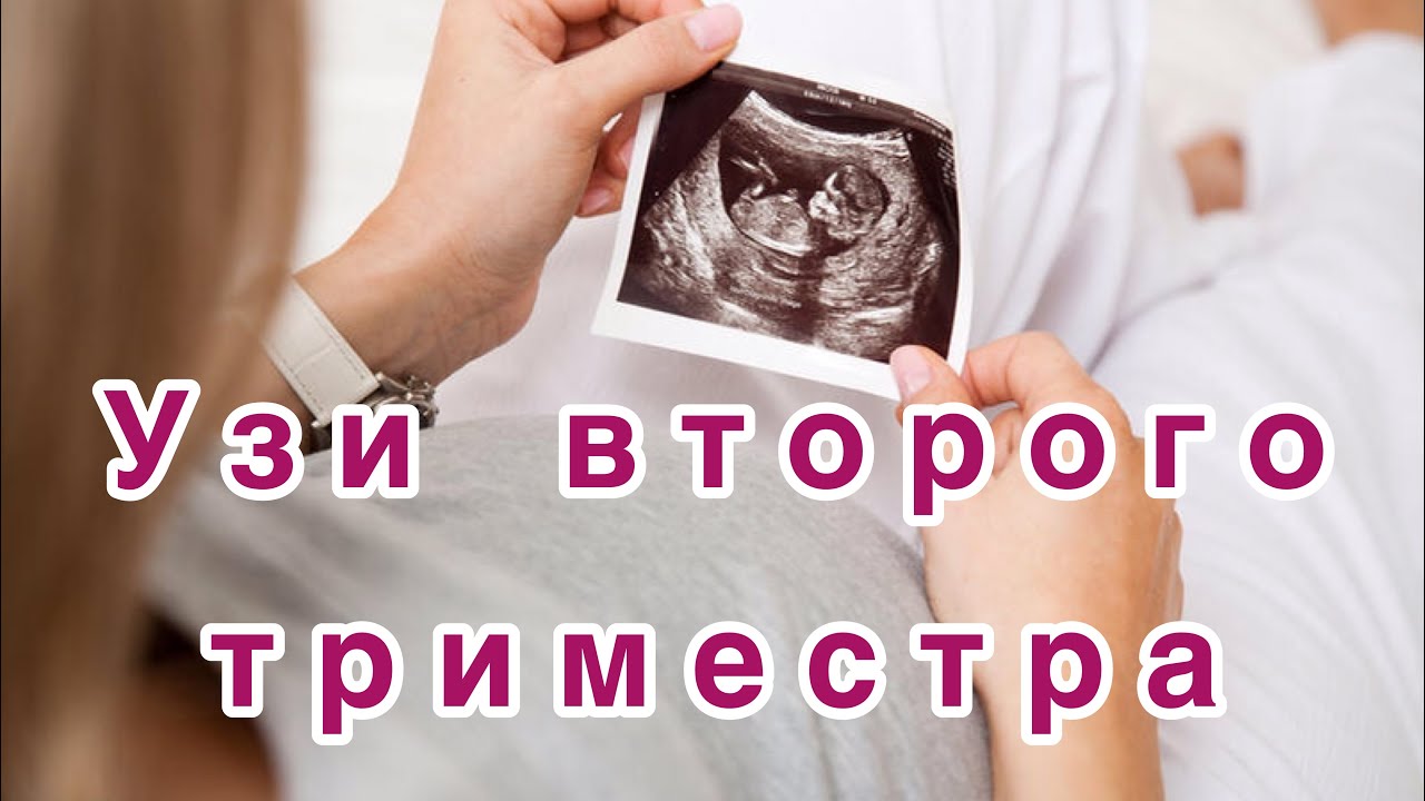 Скрининг Второго Триместра Беременности