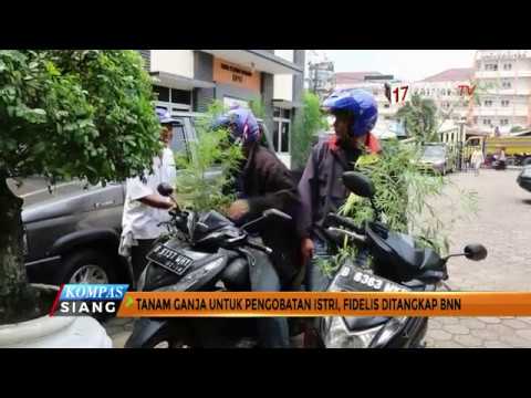 Video: Yesus Menyembuhkan Orang Sakit Dengan Ganja, Penyelidik Mendapati - - Pandangan Alternatif