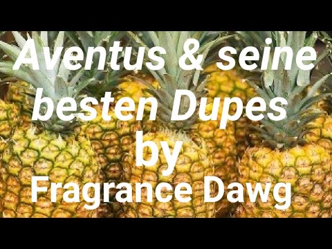 Aventus & seine besten Dupes ?| Fragrance Dawg