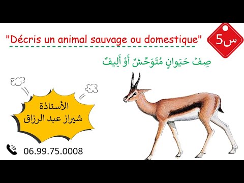 وصف حيوان متوحش أو أليف    وضعية ادماجية سنة خامسة الفصل1