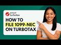 How to File 1099-NEC on TurboTax [Quick Guide]