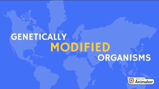 GMO- Animated Explainer Video