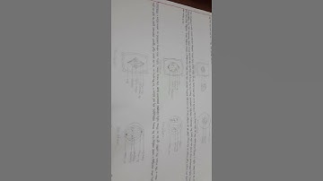 Class 9 biology assignment | #shorts