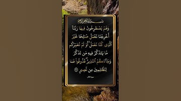 #سورة-فاطر #قران #تلاوت #shots #shortvideo
