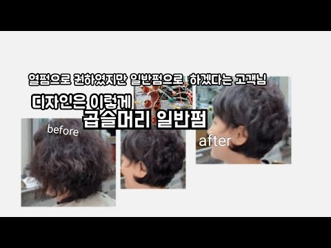 곱슬 머리 일반펌#커트&펌  풀~영상#중년 보브커트