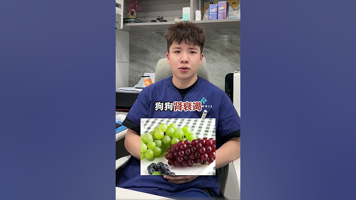 狗狗：这些食物千万不可以给我吃噢！
