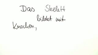 Der Mensch - Wirbelsäule und Wirbel | Biologie | Humanbiologie screenshot 5