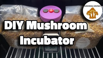 How To Create A DIY Mushroom Incubation Chamber