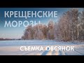 Крещенские морозы. Ищу овсянок.