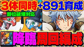 ベイツール&ワングレンを3体同時に+891育成周回!全部位破壊対応!銀時編成解説!!【パズドラ】