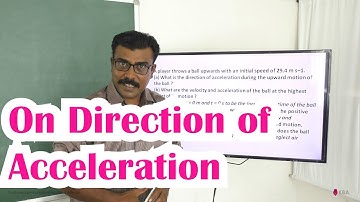 Class 11 Physics NCERT Solutions Ex 3.10 Chapter 3 Motion in a Straight Line