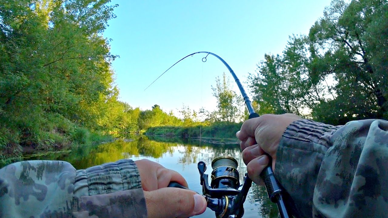ЭТА ЩУКА ТАЩИТ В КОРЯГИ НЕ ОСТАНОВИТЬ. Попал на вечерний клев разной ...