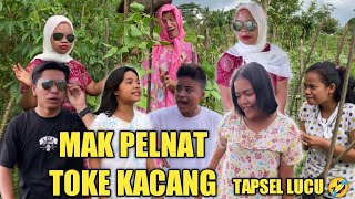LAWAK TAPSEL/MAK PELNAT TOKE KACANG
