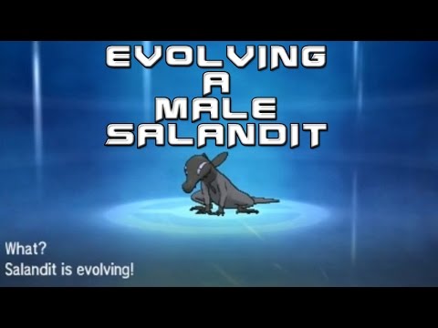 Salandit Evolution Chart