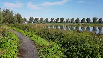 Pier bij Hollands Diep bij Oosterse bekade gorzen richting Numansgors ten zuiden van Numansdorp