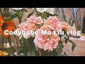 Codybabe Vlog /全香港最好食車仔麵 /花墟特別花店/太子新開cafe/好味炸串/Chanel Shopping