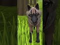 𝐖𝐢𝐥𝐝𝐜𝐫𝐚𝐟𝐭 #greekwildcraft #wildcraftgreek #wildcraft #wildcraftfunny #wildcraftgame