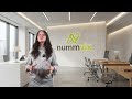 Nummvix Review: Trading asiatischer Aktienmärkte, extreme Kursdivergenzen & Devisenvolatilität 💰