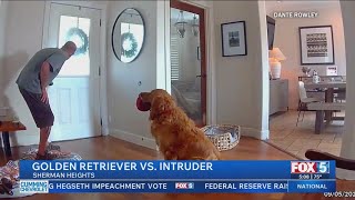 Download lagu ‘Guard dog’ Nash greets burglars with a toy inside San Diego house