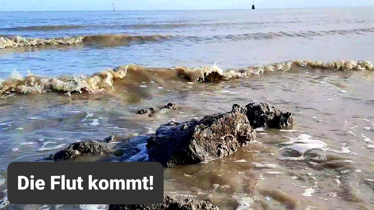 11. Februar 2022 Jadebusen Nordsee, die Flut kommt mit Wucht