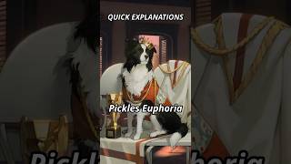 Quick Explanations: Pickles Euphoria #reverse1999 #pickles
