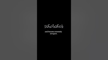 ماهر المعيقلي حالات واتس اب ارح سمعك تلاوة قرآن جميله 🌷😴