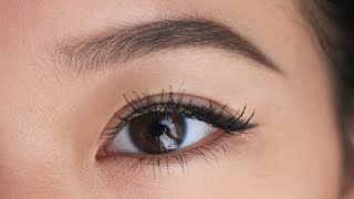 Natural Eyebrow Tutorial | ShifraSays