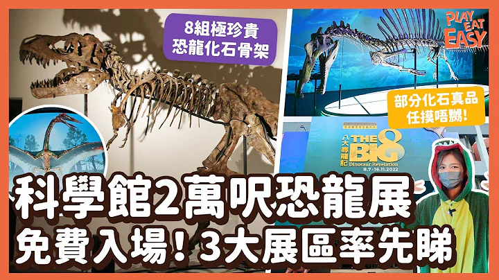 #新店踩场【附预约连结】暑假必去香港科学馆「八大寻龙记」！8组化石骨架+珍贵化石真品任摸｜罕见白垩纪棘龙、翼龙1:1模型 暴龙三角龙化石｜侏罗纪 梁龙异特龙西龙蜥脚类恐龙骸骨｜尖沙咀好去处 亲子活动 - 天天要闻