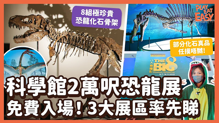 #新店踩場【附預約連結】暑假必去香港科學館「八大尋龍記」！8組化石骨架+珍貴化石真品任摸｜罕見白堊紀棘龍、翼龍1:1模型 暴龍三角龍化石｜侏羅紀 梁龍異特龍西龍蜥腳類恐龍骸骨｜尖沙咀好去處 親子活動 - 天天要聞