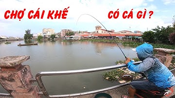 FISHING . TÌM ĐIỂM CÂU MỚI SAU CHỢ CÁI KHẾ CẦN THƠ