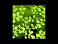 [FREE] Country x Dylan Gossett Type Beat "When Spring Comes"