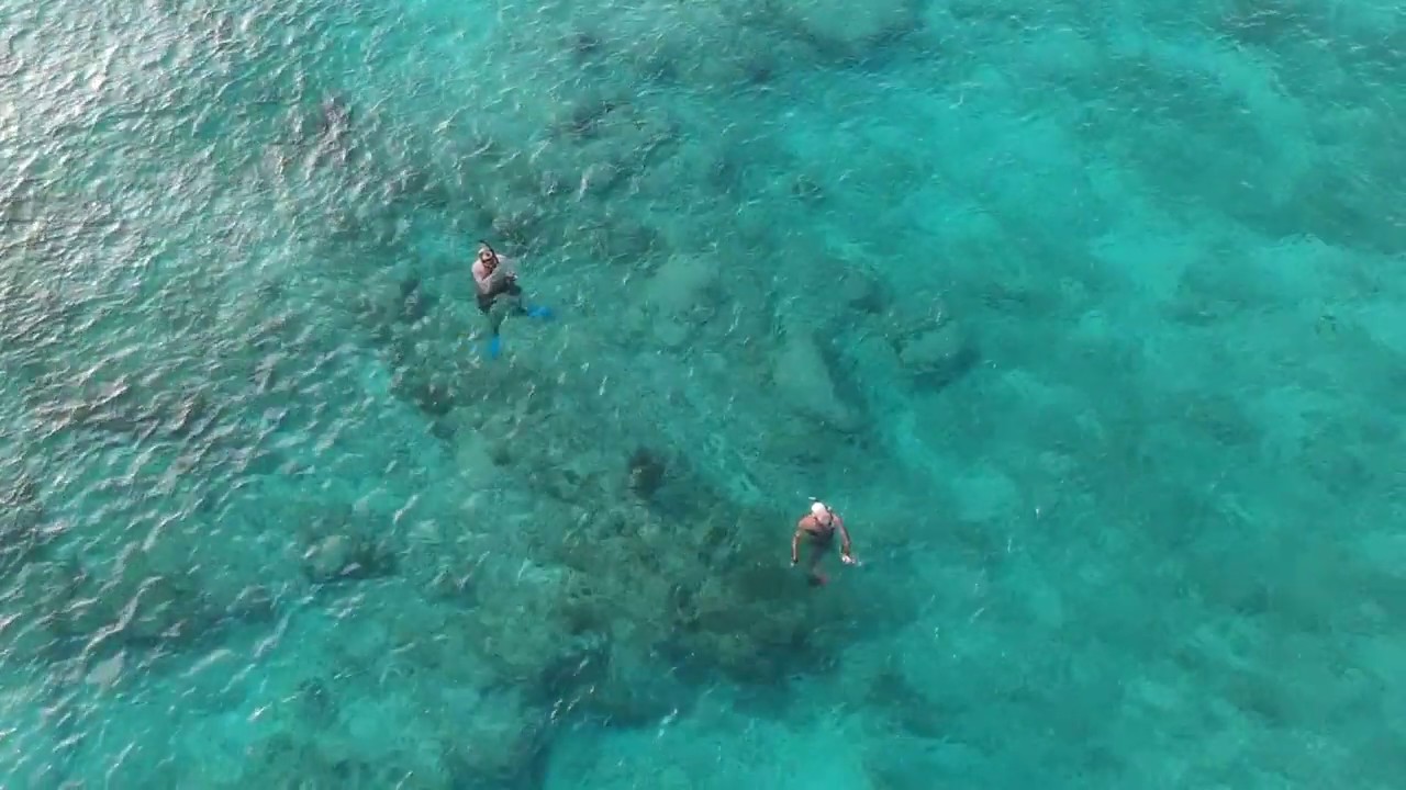 Snorkeling at Discovery Point Club, Seven Mile Beach, Grand Cayman