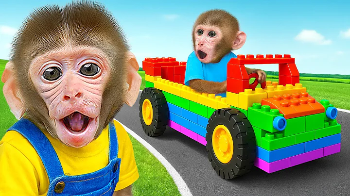 KIKI Monkey BUILT LEGO Car and Drive a Tractor Take care of monkey with Ducklings | KUDO ANIMAL KIKI