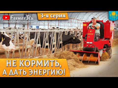 How Feed Production Works at a Dairy Farm in Kazakhstan. Part 3. SK Agro 2050 LLP