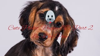 Cute Pocket Puppy 3D Part 2 screenshot 4