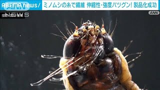 世界初！ミノムシの糸で出来た繊維を製品化「化学繊維や炭素繊維に