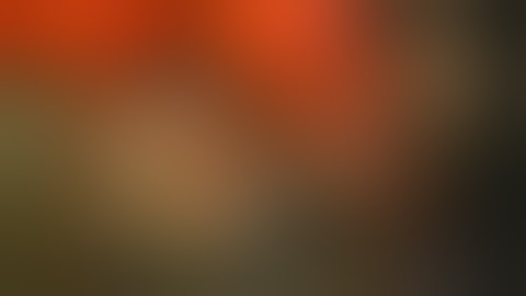 Genitorturers interview 2006