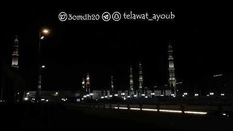 سورة الواقعة من صلاة التراويح في مسجد قباء عام ١٤٢٦هـ / فضيلة الشيخ محمد أيوب رحمه الله تعالى