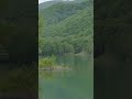 Fish Jump Sound at a Quiet Lake in Hokkaido 🐟🌿 #Shorts