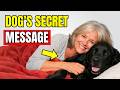 If You’re Over 50 and Your Dog Sleeps With You, Watch This