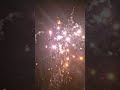Durga Puja celebration 💓 #viralvideo #durgapuja #navratri #crackers #skyshot