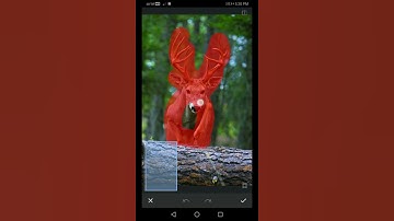 Snapseed 🔥 editing trick / remove extra things from your photo #shorts