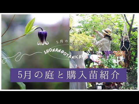 5月の庭仕事はこれをやれ！北西部ガーデニングの必須タスク7選