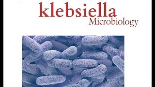 Klebsiella paraziták