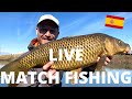 LIVE MATCH - Carp Fishing in Spain - Iberian Masters - match fishing