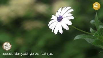 (قراءة حجازية) سورة النبأ - جزء عمّ | القارئ غسّان العمارين